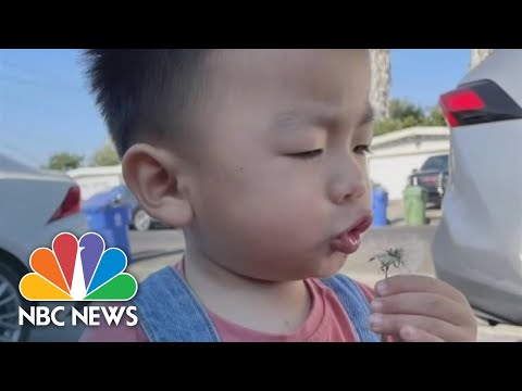 3 Arrested In 2021 Highway Shooting That Killed California Toddler