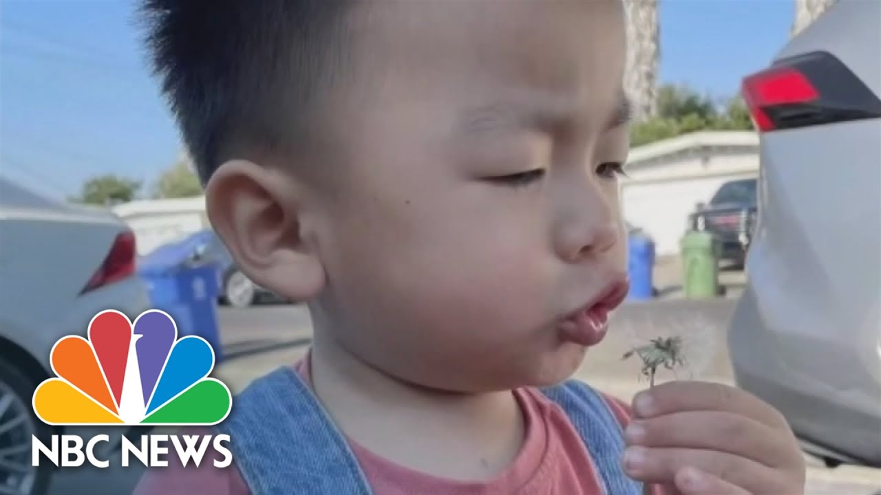 3 Arrested In 2021 Highway Shooting That Killed California Toddler