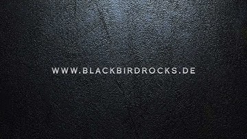 Blackbird - Fire Your Guns (Official Music Video)