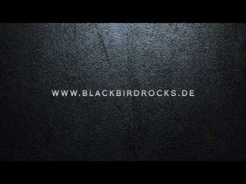 Blackbird - Fire Your Guns (video musicale ufficiale)