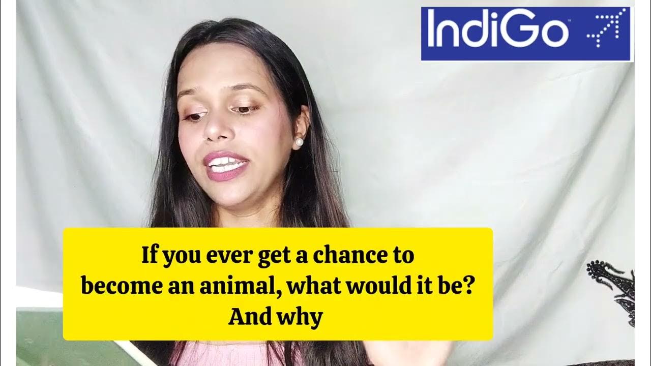 indigo-interview-recent-questions-for-cabin-crew-walk-in-interview