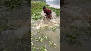 Shallow Water Fish Hunt!