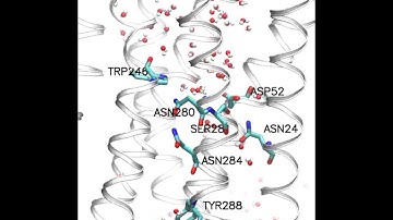 Ultraslow Water-Mediated Transmembrane Interactions Regulate Activation of A2A Adenosine Receptor