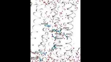 Ultraslow Water-Mediated Transmembrane Interactions Regulate Activation of A2A Adenosine Receptor