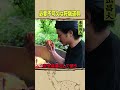 東出昌大 / 必要不可欠な狩猟道具