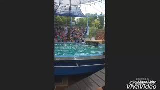 Ashley A Egertons Video Album