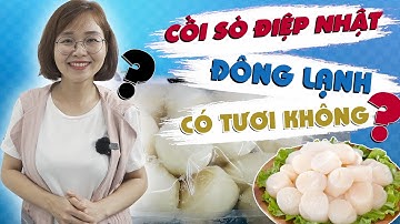 Sự thật về  Cồi Sò Điệp Nhật Đông Lạnh có Tươi Không? | Hải sản Nhập khẩu