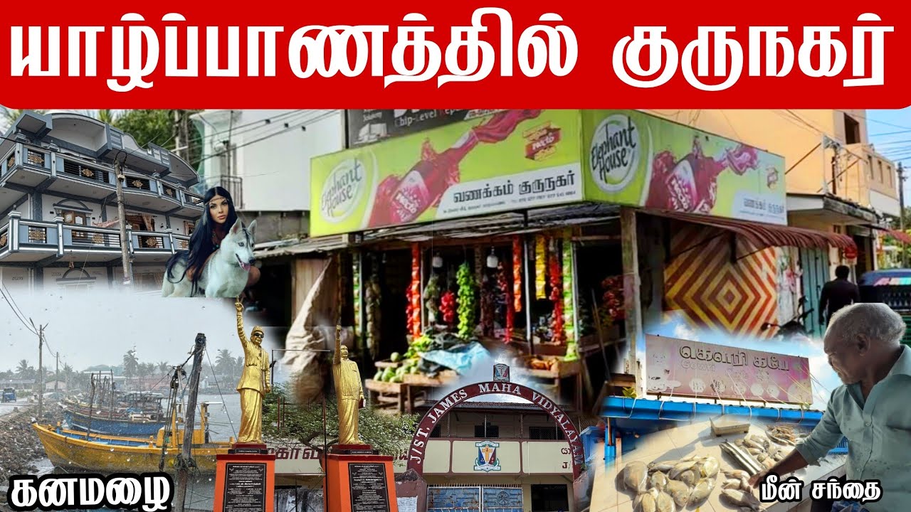 யாழ்ப்பாணத்தில் குருநகர் மீன் சந்தை Gurunagar Fish Market in Jaffna