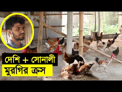 ভিডিও: মুরগির সাথে পিলাফ তাড়াতাড়ি পরিপক্ক হয়