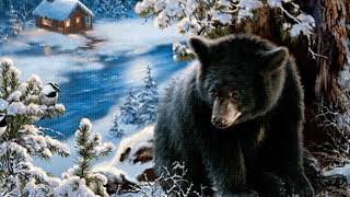 Медведь в лесу. Новогодний футаж. Зимний футаж. Красивый футаж для видео.  Видеофон.