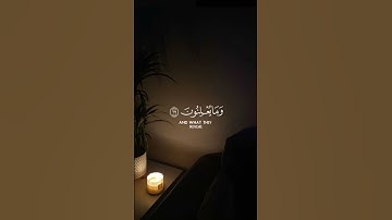 تلاوه ماتيسر من آيات سوره القصص بصوت القارئ #ماهرالمعيقلي #قران_كريم #ارح_قلبك #هدوء #تلاوة_خاشعة