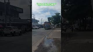 Telolet basuri bus Pesona Jaya Trans "MOONLIGHT" corong 6#busmania #teloletbasuri