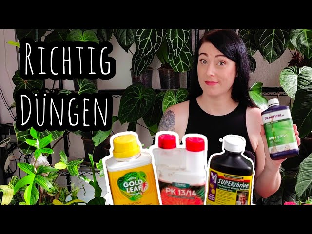 Zimmerpflanzen richtig DNGEN | meine Routine - YouTube