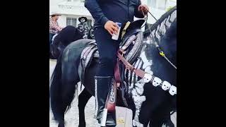 3 de noviembre de 2021