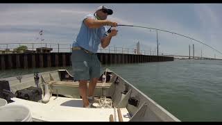 NorthSide Indian River Inlet Delaware. Big Fish show, Full Live Lining Spot Episode