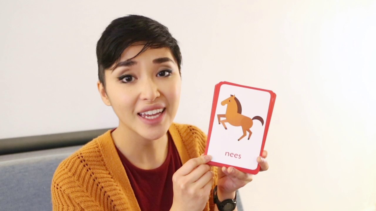 Hmongbaby White Animal Flash Cards Youtube