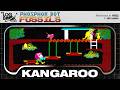 Phosphor Dot Fossils: Kangaroo (arcade, 1982)