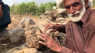 タキシラ シルカップ遺跡修復作業を見学 パキスタン