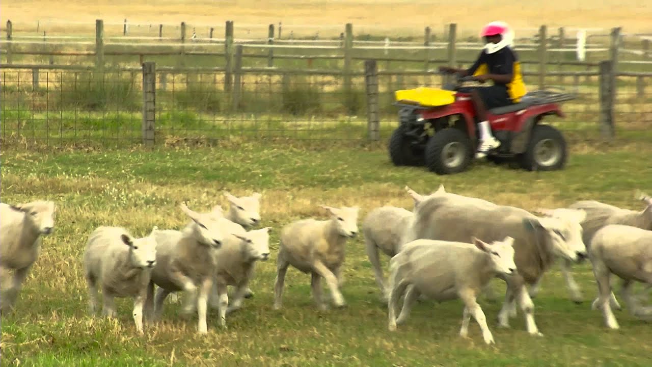 Wongutha CAPS video by Red TV Productions YouTube