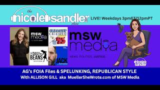 Allison Gill of MuellerSheWrote Brings her FOIA Files & Talks Spelunking, DeBanking and More