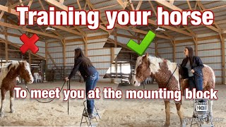 SIDEPASS TO MOUNTING BLOCK/ HOW TO TRAIN YOUR HORSE
