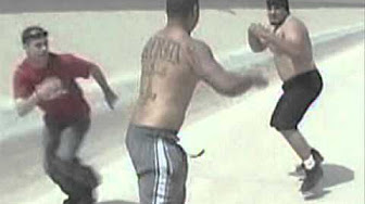 Felony Fights Videos Youtube