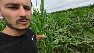 Power Outage & Major Crop Damage