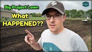 What Happened To The Big Project Lawn?  // Large Lawn Renovation