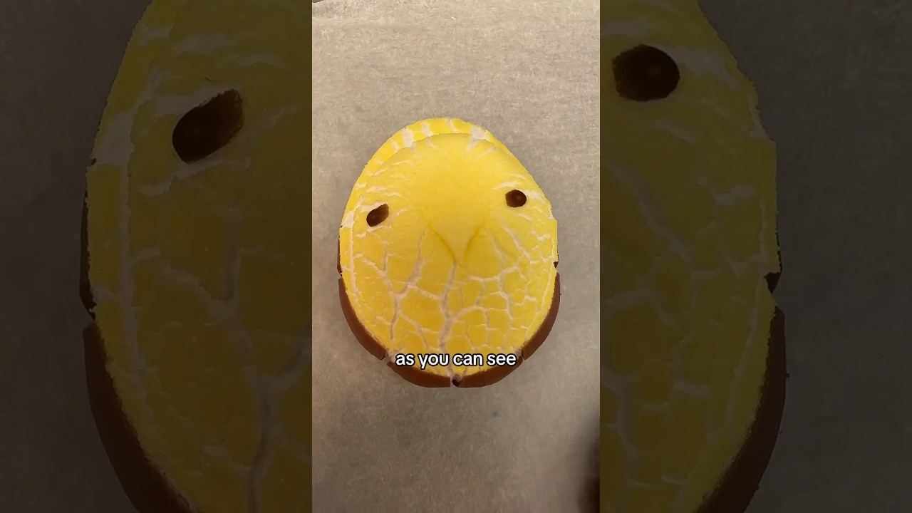 ❄️🐰🐥Freeze dried Peeps! Now this was fun!🐥🐰❄️ 