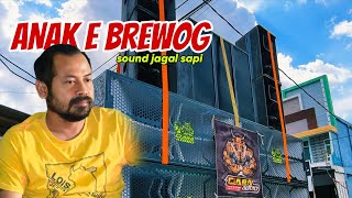 Download lagu Clara audio anak e brewog mode horeg pake box kimochi lokasi kasian puger jember
