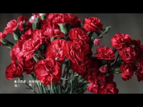 特別的愛給特別的你  劉博仁演唱