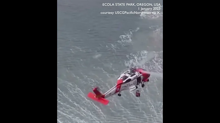 Dog that fell off cliff is air rescued by US Coast Guard on New Year's Day - DayDayNews