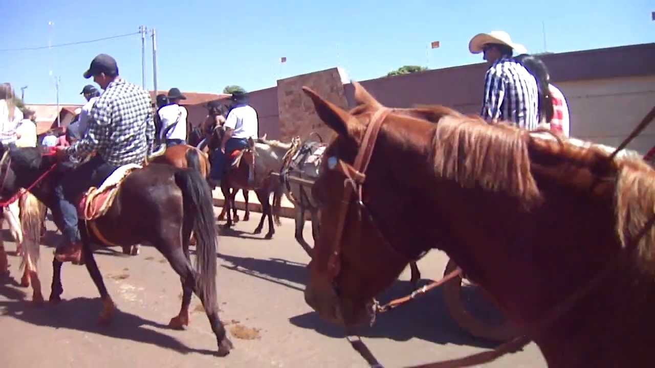 Resultado de imagem para cavalgada de santo antÃ´nio em barra do garÃ§as