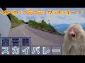 【モトブログ】西吾妻スカイバレー
