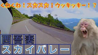 【モトブログ】西吾妻スカイバレー