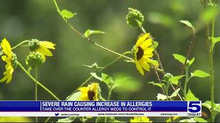 Recent rain causes increase in allergies for some Valley residents