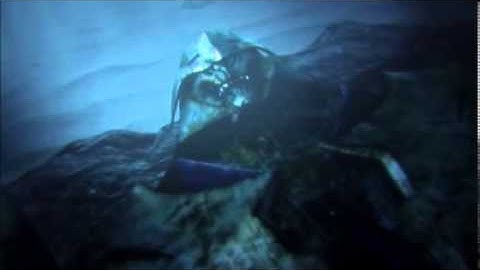 TFP the great divide