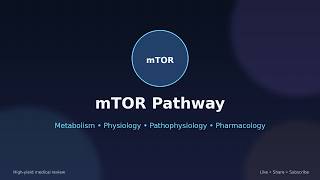 mTOR -  USMLE Step 1 Long Review