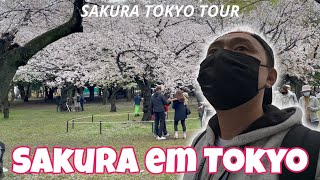 SÃO PEDRO AJUDOU E CONSEGUI VER AS SAKURAS EM TOKYO &amp; EVENTO ALTERNATIVO | SAKURA TOKYO TOUR parte 2