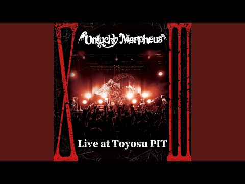 籠の鳥 (Live at Toyosu PIT ver.) - YouTube