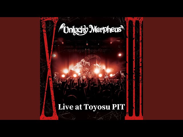 籠の鳥 (Live at Toyosu PIT ver.) - YouTube