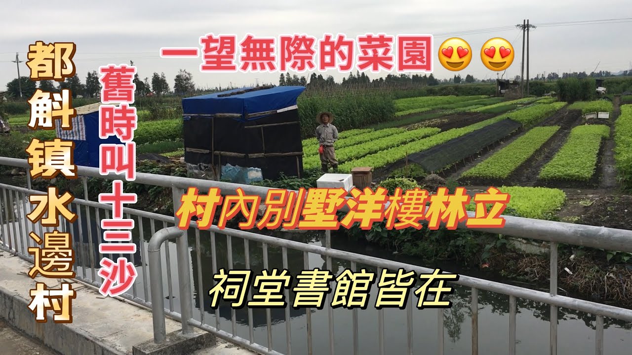 台山百曉：這次來到台山市都斛鎮水邊村，有位華僑的家鄉是來自於這裡，可惜沒有找到他的家，不過這條隱藏在市井之中的村落真是不一般。#taishan #toisanese #台山 #粤语 #toisan