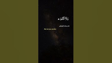 قل يا أيها الكافرون. القرآن الكريم. الحياة #اكسبلور #alquran #راحة_نفسية