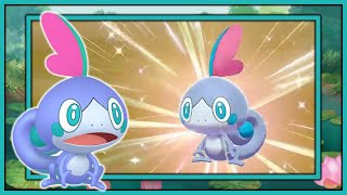 [Live] Shiny Sobble after ONLY 14 Eggs!