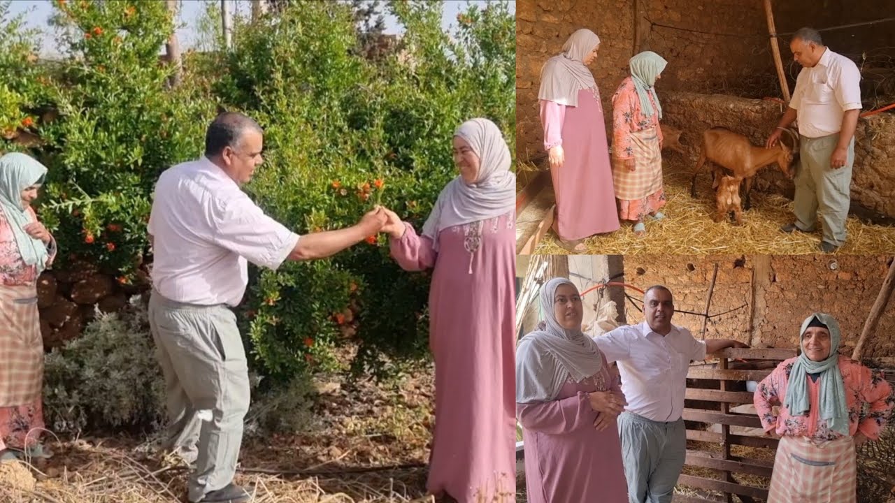 ماتت و خلات بنتها يتيمة🥲 جولة صباحية فمزرعة لالة حادة وتفكرنا النهار لي شعلات فيه العافية😔