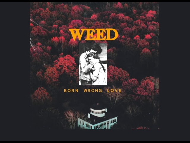 Watch WEED "Born Wrong Love" LP (2017) (Full Stream) on YouTube Watch WEED "Born Wrong Love" LP (2017) (Full Stream) on YouTube