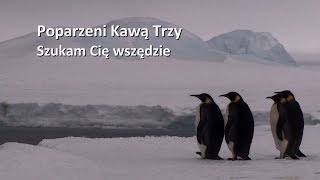 Poparzeni Kawą Trzy, "Szukam Cię Wszędzie". [OFFICIAL LYRIC VIDEO] chords