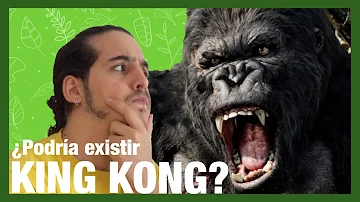 ¿Puede existir King Kong?