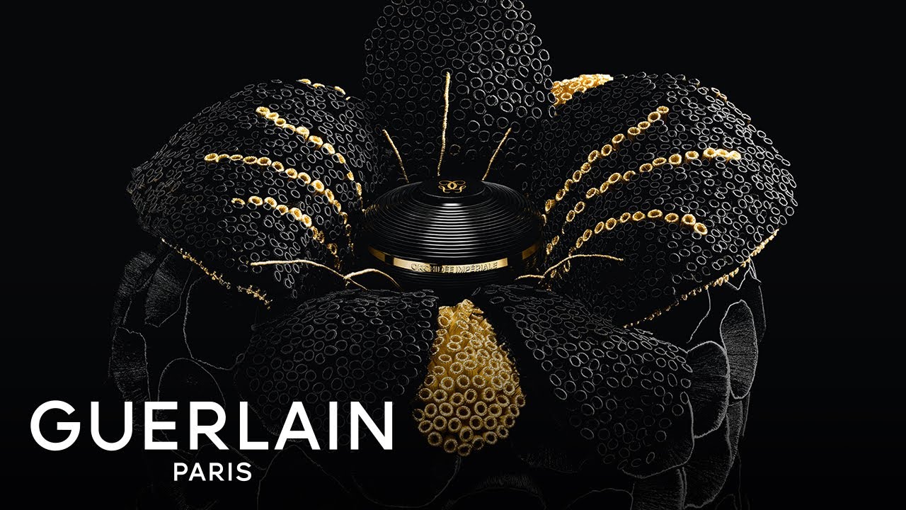 Orchidée Impériale Black The Cream: Exceptional Art Piece by