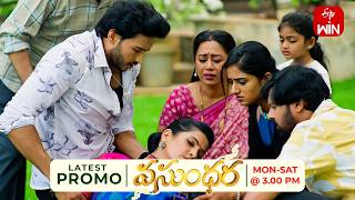 Vasundara Latest Promo | Episode No 384 | 21st August 2026 | ETV Telugu